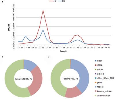 Identification of potential miRNA-mRNA regulatory network and the key miRNAs in intramuscular and subcutaneous adipose